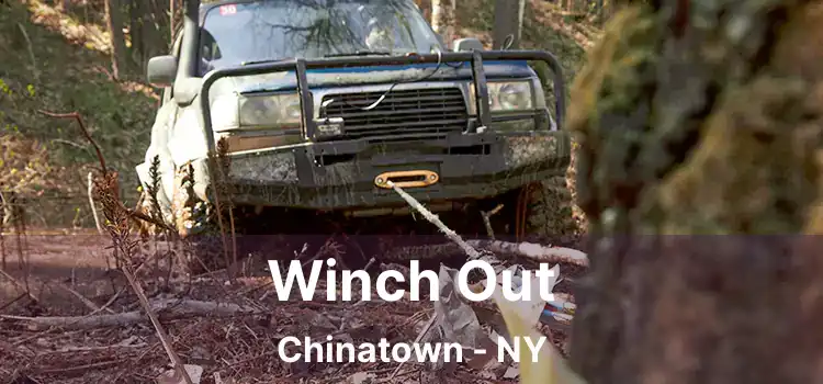 Winch Out Chinatown - NY